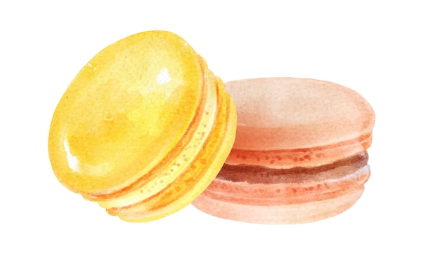 Aquarel illustratie van Macarons