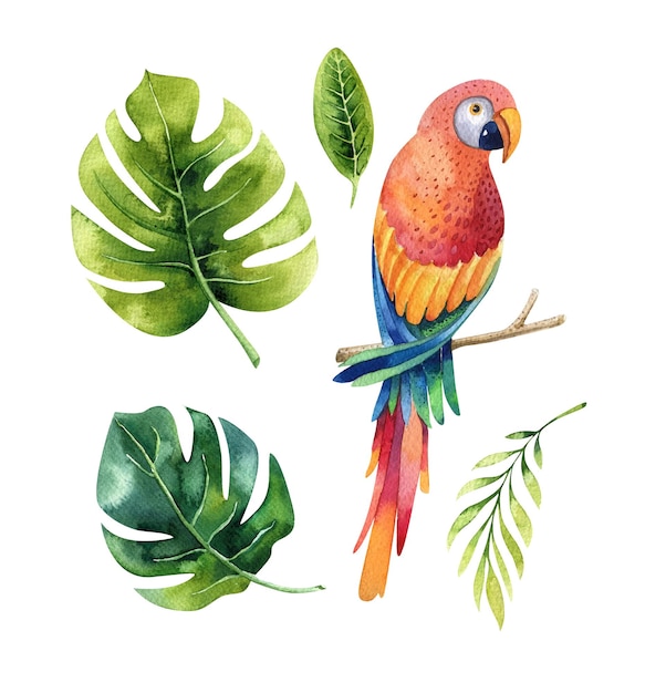 Aquarel illustratie van tropische bladeren vogel papegaai Handgeschilderde tropische zomer motief Palm bladeren