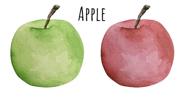 Aquarel illustratie vers rauw fruit. Appel en peer.