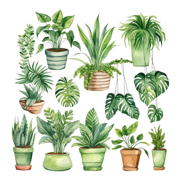 Vector aquarel kamerplanten clipart monstera cactus illustratie