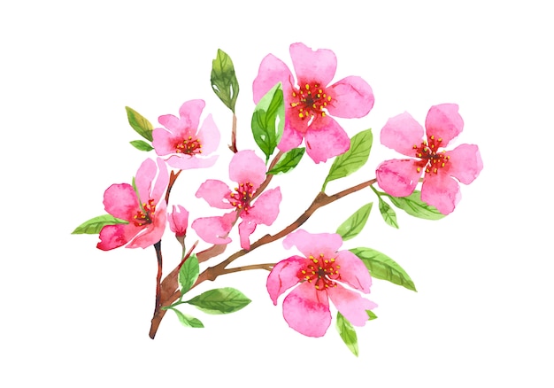 Aquarel kersenbloesem bloem krans. Sakura prachtige lente bloemen hand getekende kunst. Kleurrijke illustratie geïsoleerd op een witte achtergrond.