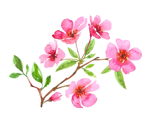 Aquarel kersenbloesem bloem krans. Sakura prachtige lente bloemen hand getekende kunst. Kleurrijke illustratie geïsoleerd op een witte achtergrond.