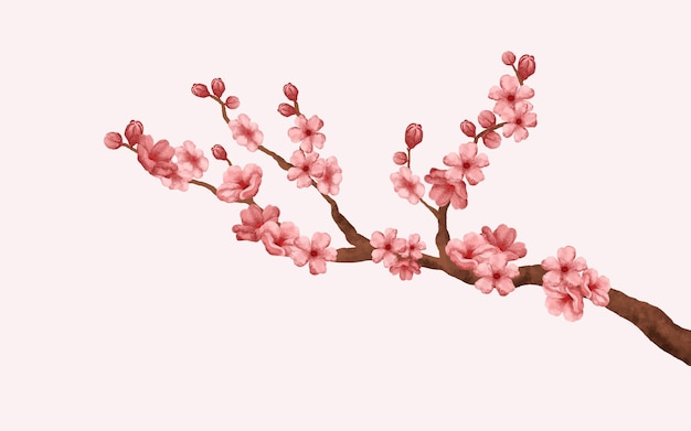 aquarel kersenbloesem vector. kersenbloesem tak met sakura bloem