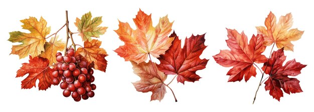 Aquarel kleurrijke herfst tak set ai generative