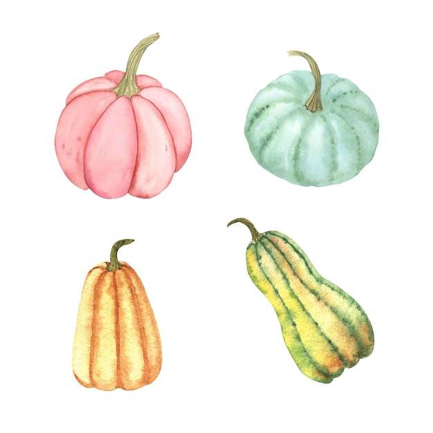 Aquarel kleurrijke pompoenen