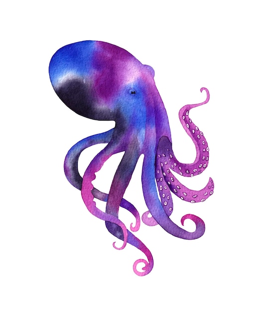 Aquarel kosmische octopus. Hand getekende illustratie op witte achtergrond.