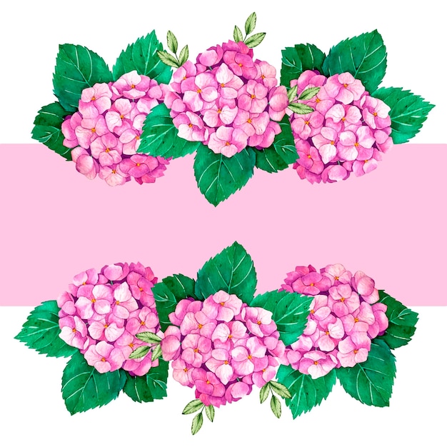 Aquarel krans van roze hortensia met streep