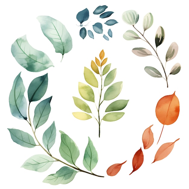 Vector aquarel laat botanische illustraties set