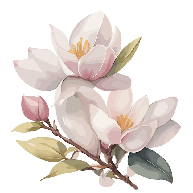 Vector aquarel magnolia vintage stijl aquarel bloem vector bruiloft bloem