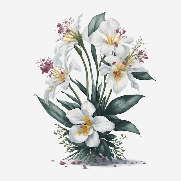 Aquarel miltonia floral een eenvoudige vector