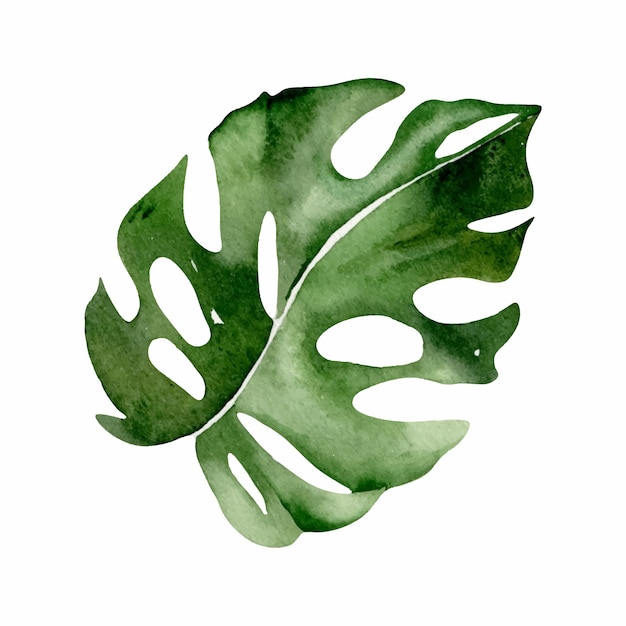 Aquarel monstera groen