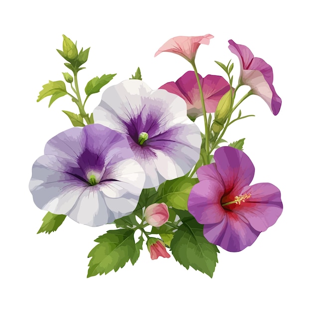 Aquarel multiflora petunias clipart bewerkbare witte achtergrond