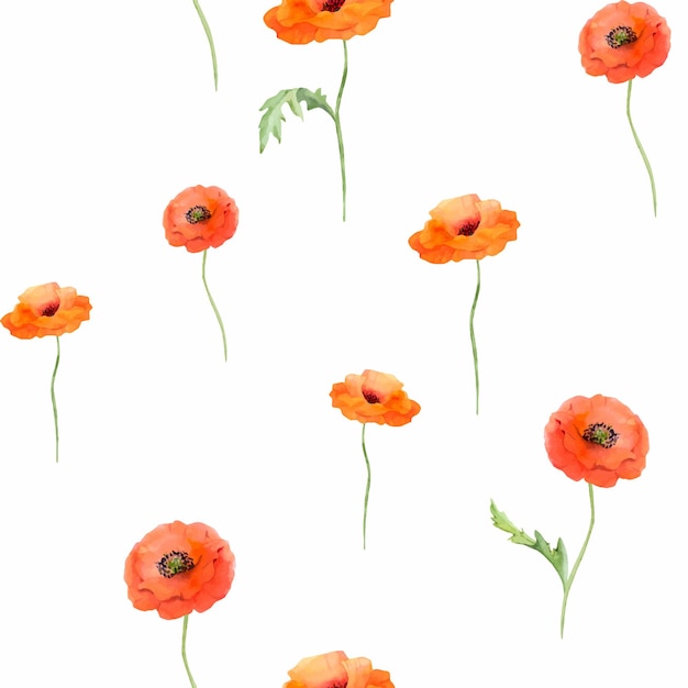 Aquarel naadloze patroon met hand getrokken zomer heldere rode papaver bloemen geïsoleerd op een witte achtergrond Ontwerp voor uitnodigingen bruiloft liefde of wenskaarten papier print textiel