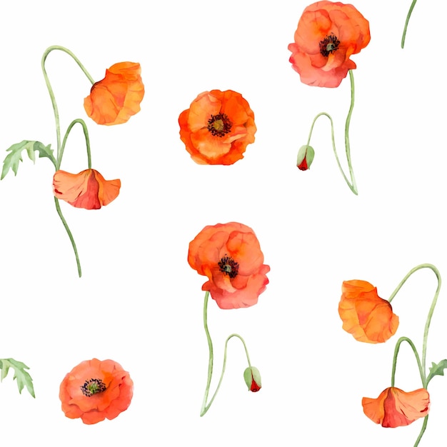 Aquarel naadloze patroon met hand getrokken zomer heldere rode papaver bloemen geïsoleerd op een witte achtergrond Ontwerp voor uitnodigingen bruiloft liefde of wenskaarten papier print textiel