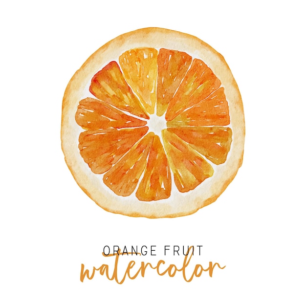 Aquarel oranje fruit illustratie