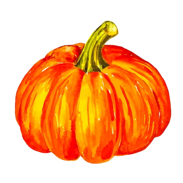 Vector aquarel oranje pompoen herfst herfst seizoen hand getrokken clipart