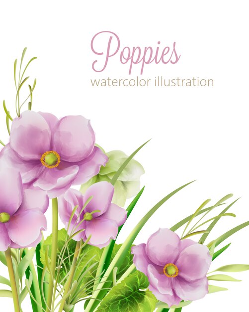 Aquarel paarse papavers bloemen met bladeren