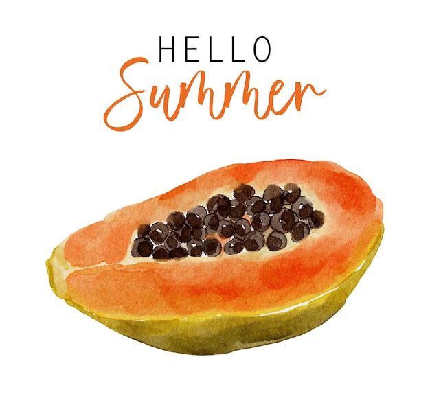 Aquarel papaya fruit illustratie