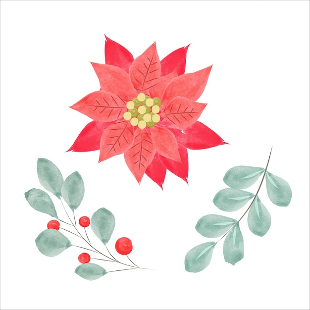 Aquarel Poinsettia bloem en kerst bloemen elementen vector