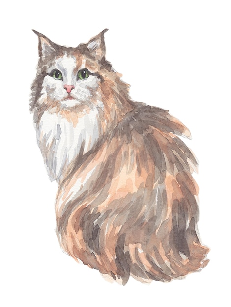 aquarel portret van een kat