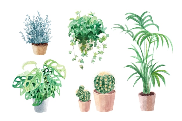 Aquarel potplanten collectie. Potten en kamerplanten. Handgetekende kunst. Set huis kamerplant. Cactus, palm, monstera