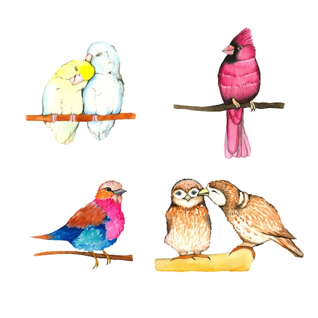 aquarel print mooie vogels felle kleuren zomer kinderprint