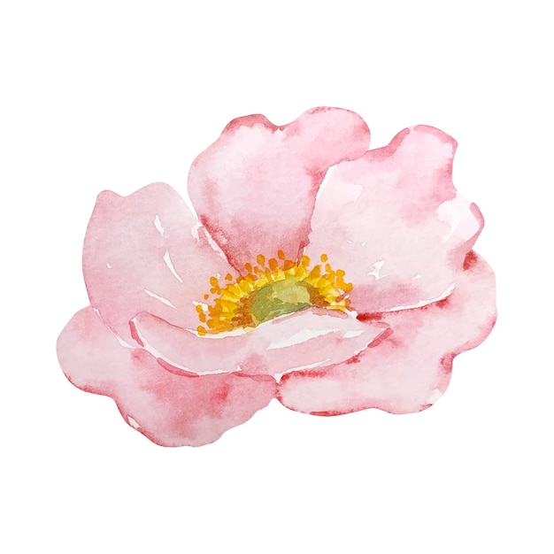 Aquarel roze delicate rozenbottel bloem herfst bloemen