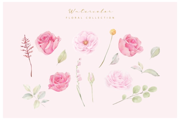 Aquarel roze roze bloemen vector collectie