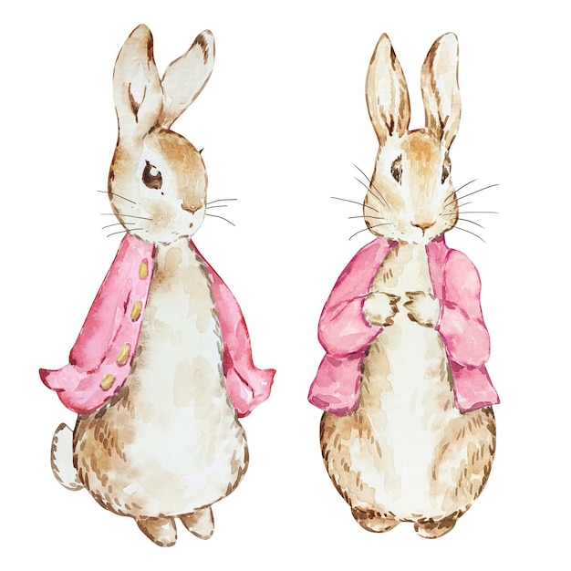 Vector aquarel schattige peter rabbits in roze jasje