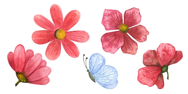 Aquarel set elementen bloemen rood roze en mot