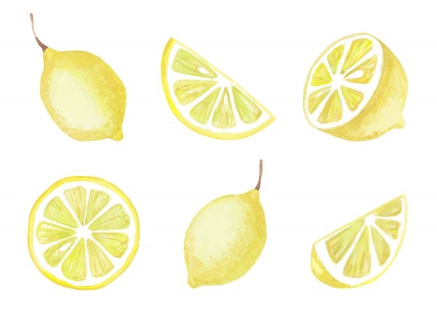 Aquarel set gele citroenen geïsoleerd op een witte achtergrond. Vector illustratie