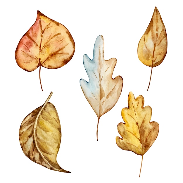 Aquarel set gezellige herfst schattige elementen