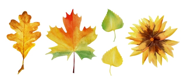 Aquarel set herfstplanten