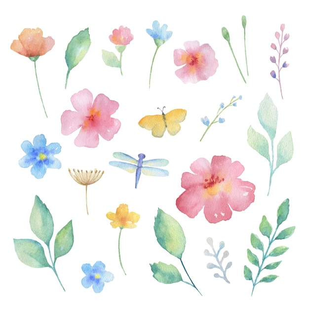 Aquarel set van bloemen