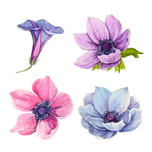 Aquarel set van bloemen