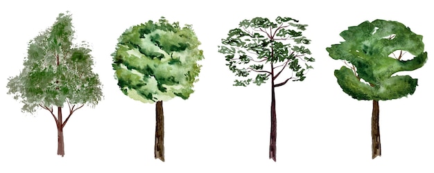 Aquarel set van groene bos bomen geïsoleerd op wit