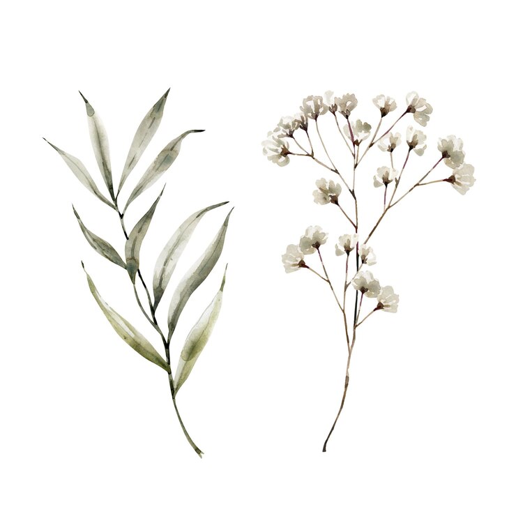 Vector aquarel set van groene planten en bladeren, met de hand geschilderd.