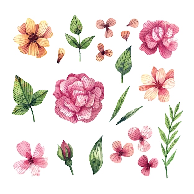 Aquarel set van heldere bloemen en bladeren met de hand getekend.