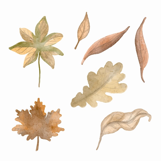 Aquarel set van prachtige kleurrijke herfstbladeren in vector