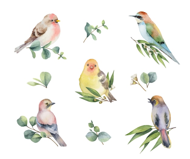 Aquarel set vogels met bloemen