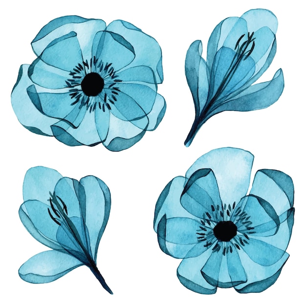 aquarel tekening set van transparante kleuren clipart blauwe bloemen krokussen en anemonen