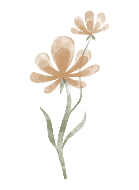 Vector aquarel trendy bloem vectorillustratie voor web-app en print elegante vrouwelijke vorm floristic