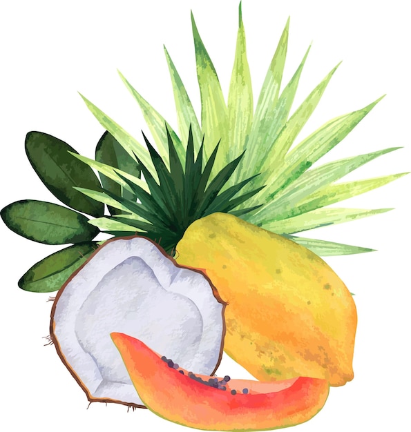 Aquarel tropische vruchten kokosnoot papaya en bladeren