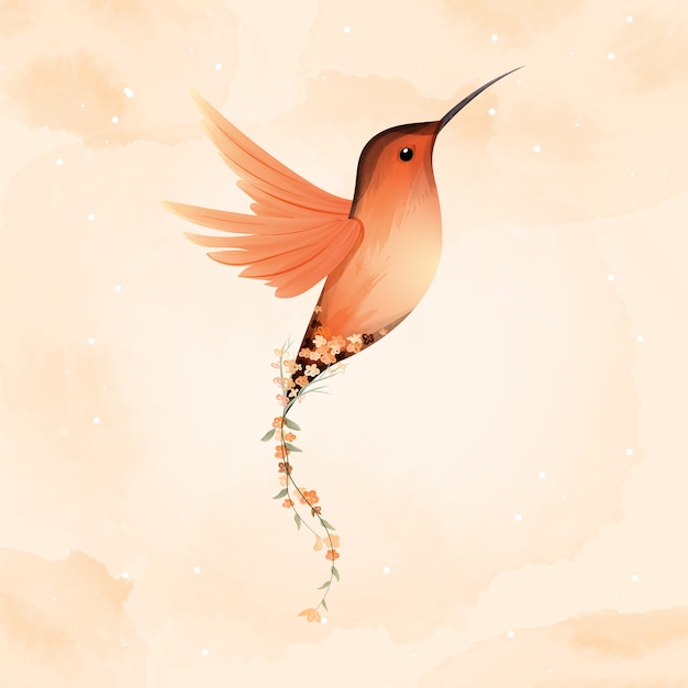 Aquarel van rufous hummingbird en mooie bloem.