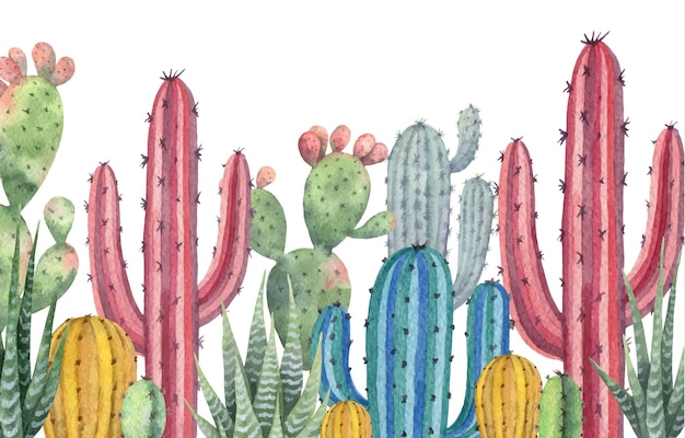 Aquarel vector banner van cactussen en vetplanten geïsoleerd op een witte achtergrond