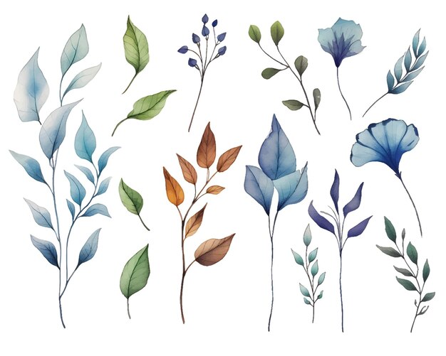 Vector aquarel vector botanische illustraties clipart set