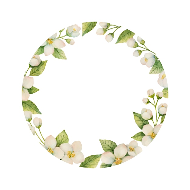 Aquarel vector frame van bloemen en takken Jasmijn geïsoleerd op een witte achtergrond