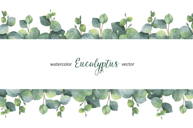 Aquarel vector groene bloemen banner met zilveren dollar eucalyptus bladeren en takken geïsoleerd op een witte achtergrond