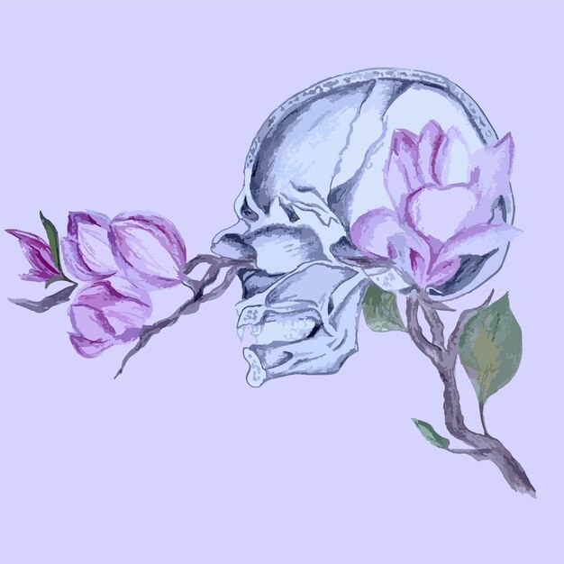 Aquarel vector hand getekende illustratie schedel in sectie met magnolia bloemen