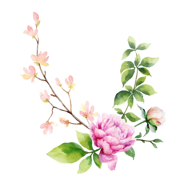 Aquarel vector hand schilderij illustratie van pioenroos bloemen en groene bladeren